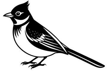 Cute Bird Line Art Vector – Minimalist Bird Illustration, Logo Icon & Clip art on White Background