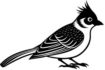 Cute Bird Line Art Vector – Minimalist Bird Illustration, Logo Icon & Clip art on White Background