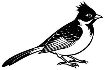 Cute Bird Line Art Vector – Minimalist Bird Illustration, Logo Icon & Clip art on White Background