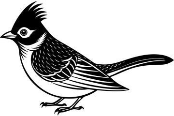 Cute Bird Line Art Vector – Minimalist Bird Illustration, Logo Icon & Clip art on White Background