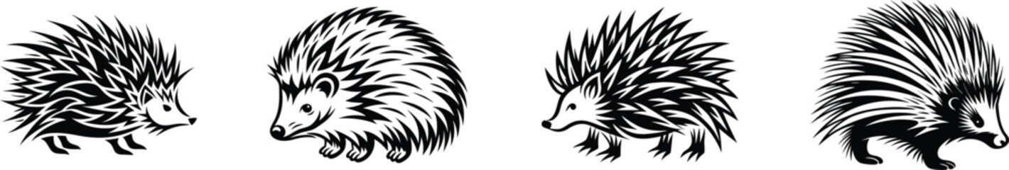 Hedgehog Vector Collection - Cute Wildlife Illustrations. Explore a collection of adorable hedgehog vector illustrations, perfect for nature, animal-themed designs, and wildlife projects