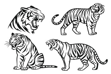Set of big tigers. Collection of portraits of predatory wild cats. Set of wildlife and fauna dwellers. Vector illustration on a white background. Tattoo.