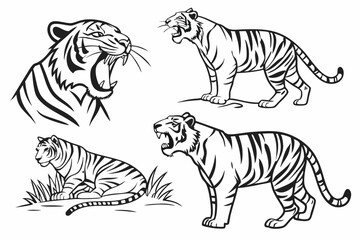 Set of big tigers. Collection of portraits of predatory wild cats. Set of wildlife and fauna dwellers. Vector illustration on a white background. Tattoo.