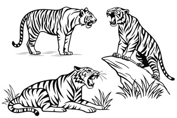 Set of big tigers. Collection of portraits of predatory wild cats. Set of wildlife and fauna dwellers. Vector illustration on a white background. Tattoo.