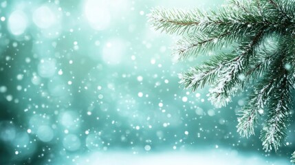 Snow covered pine branch winter holiday background image