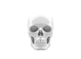 angle skull model