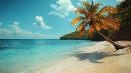 Obraz premium Beautiful tropical beach scene featuring a leaning palm tree, blue ocean, and clear skies.