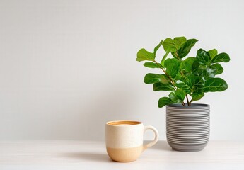 Minimalist coffee mug and plant on a white table.
