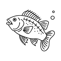 rock bass icon, rock bass line art - simple line art of rock bass, perfect for rock bass logos and icons