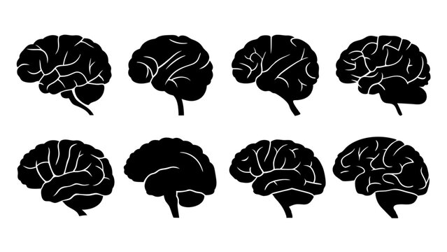 set of brain silhouette vector on tranparent background