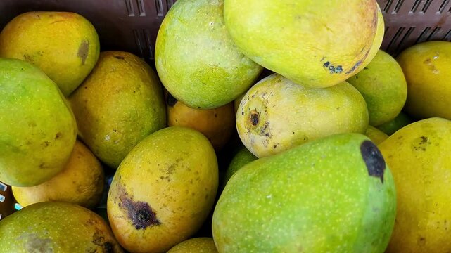 Close-up shot of Alphonso mangoes, also known as Hapus or Ratnagiri mangoes, on display for sale