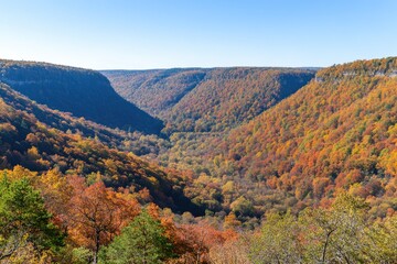 Autumn foliage blankets a deep valley, showcasing vibrant colors against a clear sky  The steep slopes are filled with a mix of reds, oranges, yellows, and greens