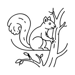 squirrel on a tree icon, squirrel on a tree line art - simple line art of squirrel on a tree, perfect for squirrel on a tree logos and icons