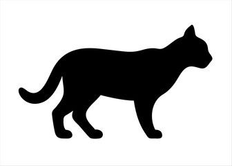 Fototapeta premium Cat Silhouette Vector.