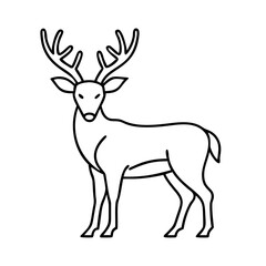 whitetail deer icon, whitetail deer line art - simple line art of whitetail deer, perfect for whitetail deer logos and icons