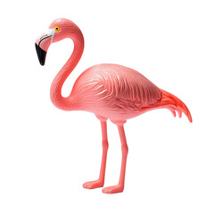Obraz premium A vibrant pink flamingo standing gracefully