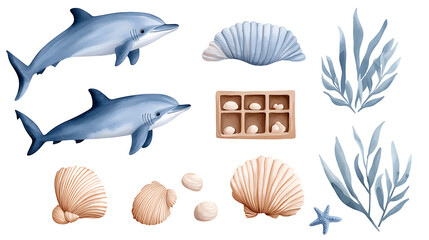 Watercolor dolphin, shark, sea shells set. Marine life illustration for ocean design decor, poster, clipart hand painted