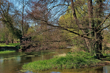 la rivi&egrave;re la V&egrave;gre au printemps &agrave; Asni&egrave;res-sur-V&egrave;gre
