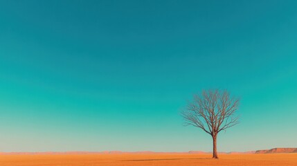 Fototapeta premium Leafless tree in expansive desert landscape under teal sky