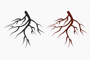 Obraz premium symmetric root silhouette. EPS 10.