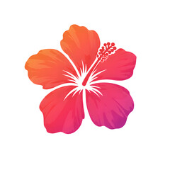 pink hibiscus flower at png background