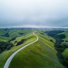 Fototapeta premium Winding Road Through Green Rolling Hills