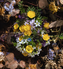 Frühlingsblumen Nest zur Osterzeit im Laub