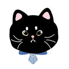 Black Cat (Office boy)