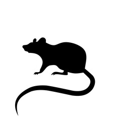 Mouse icon vector. Rat illustration sign. Jerboa symbol or logo