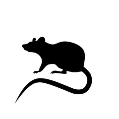 Mouse icon vector. Rat illustration sign. Jerboa symbol or logo