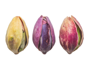 Pistachio nuts in diverse colors nature freshness isolated on transparent background