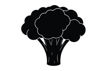 Broccoli Vegetable Vector Illustration on White Background

