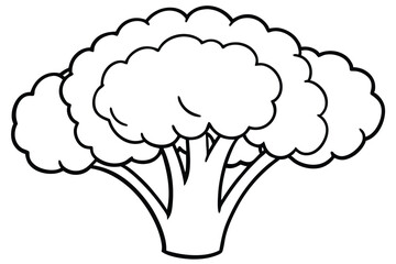 Broccoli Vegetable Vector Illustration on White Background

