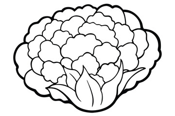 Cauliflower Vegetable Vector Illustration on White Background

