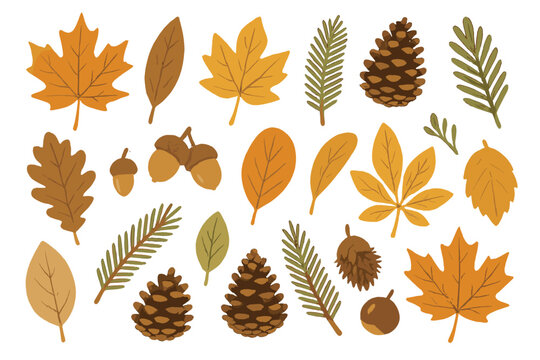 Autumn leaves and pine cones arranged in a flat vector illustration showcasing seasonal elements of fall