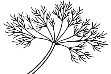 Dill Vegetable Vector Illustration Isolated on White Background


