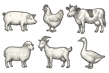 Farm animals illustrated in detailed flat vector style showcasing pig, chicken, cow, sheep, goat, and goose