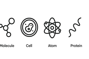 Different components of life represented in a flat vector illustration showcasing molecule, cell, atom, and protein