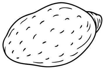 Yam Vegetable Vector Illustration Isolated on White Background


