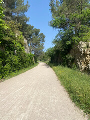 A road bike placed in a serene natural landscape, with rolling hills, green meadows, and a clear sky