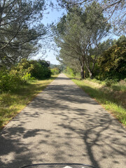 Fototapeta premium A road bike placed in a serene natural landscape, with rolling hills, green meadows, and a clear sky