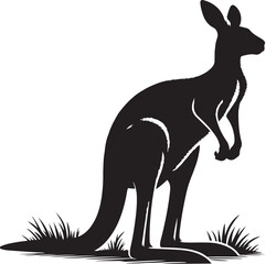 a kangroo vector