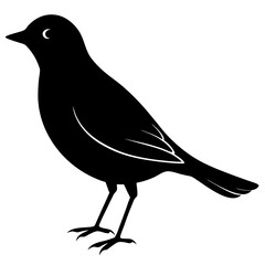A bird silhouette on white background