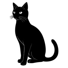 A cat  silhouette on white background
