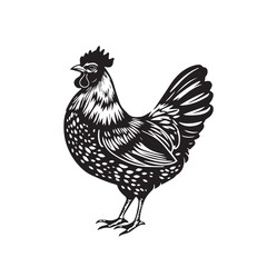 A Bold Chicken Silhouette Tribute to the Timeless Barnyard Queen