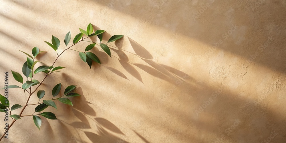 Poster sunlight illuminates a beige wall with a delicate branch of green leaves cast in a shadow