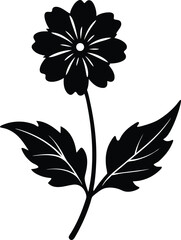 american germander flower silhouette vector 