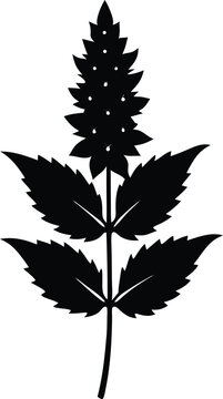 black plant silhouette on white background clip art preview