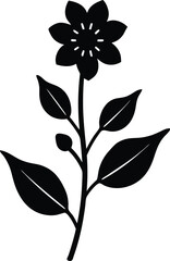 arctic willow flower silhouette vector on white 