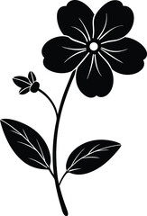 bacopa flower silhouette vector on white 